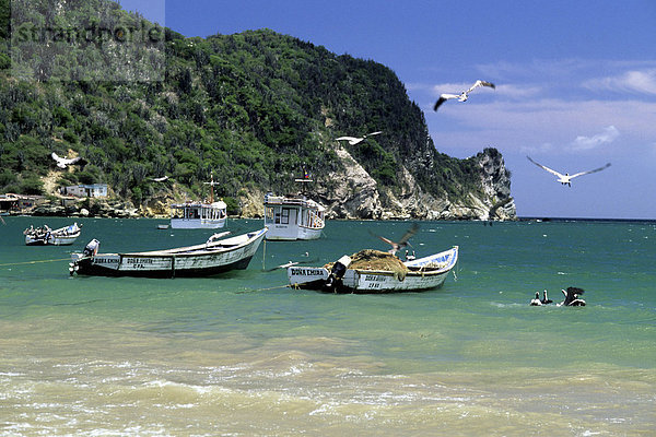 Strand von El Morro  Fischerboote an der karibischen Küste bei Carupano  Sucre  Karibik  Venezuela  Südamerika