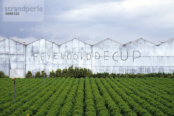 Gewächshaus  Glashaus im grünen Herz von Holland  Fußball Schriftzug Feyenoord de Cup  Boskoop  Provinz Süd-Holland  Zuid-Holland  Niederlande  Benelux  Europa