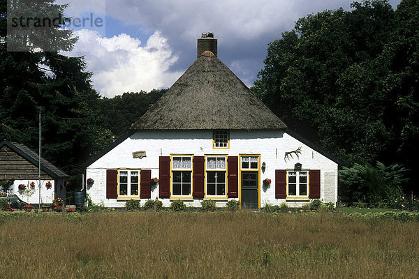 Bauernhof Everwijnserf  Het Nationale Park De Hoge Veluwe  Naturpark zwischen Otterlo  Hoenderloo und Arnhem Schaarsbergen  Arnheim  Provinz Gelderland  Niederlande  Benelux  Europa