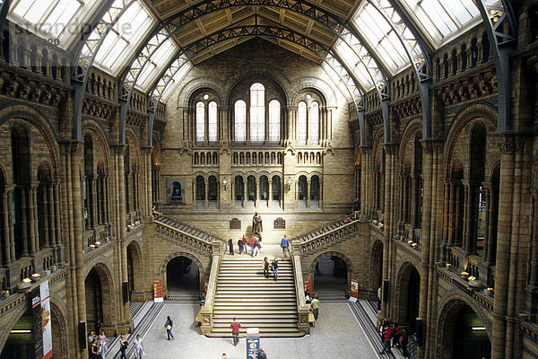 Natural History Museum  Naturhistorisches Museum  Treppe in der zentralen Halle  Knightsbridge  London  England  Großbritannien  Europa