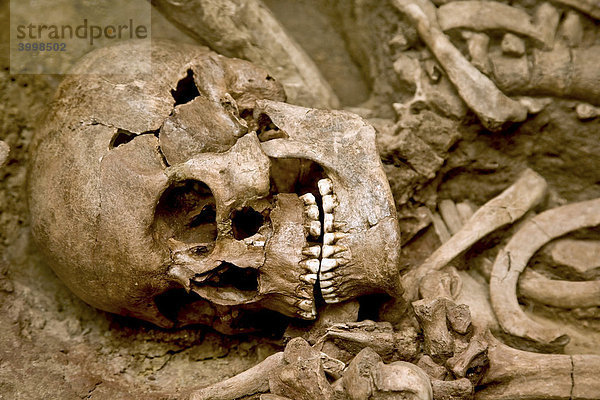 Menschliches Skelett in einem offenen Grab