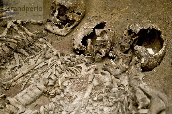 Menschliche Skelette in einem offenen Grab