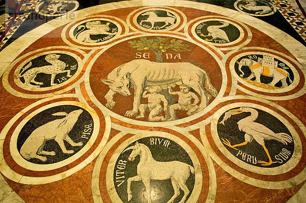 Fußboden mit Mosaik  Kirche  Sienna  Toskana  Italien  Europa