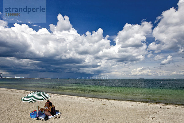 Familie entspannt sich am Strand vom Amager Strandpark  Kopenhagen  Dänemark  Europa