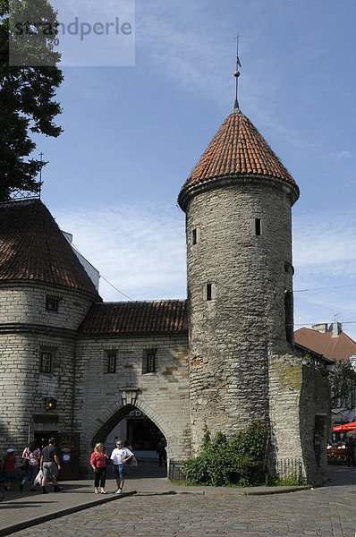 Stadtmauer  Tallinn  Estland  Europa