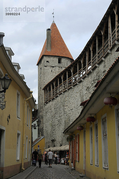 Stadtmauer  Tallinn  Estland  Europa