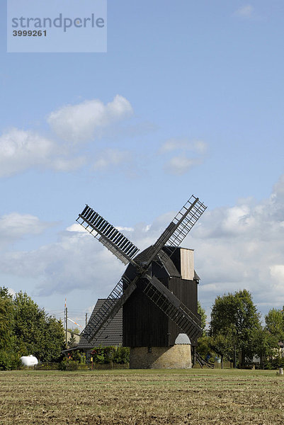 Windmühle bei Brehna  Bitterfeld  Sachsen-Anhalt  Deutschland  Europa