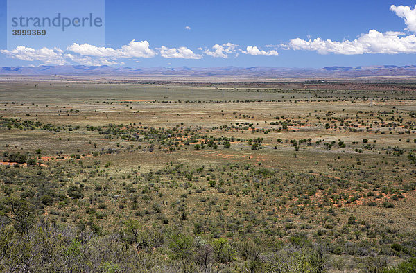 Karoo-Wüste  in der Nähe von Middelberg  Eastern Cape  Südafrika  Afrika