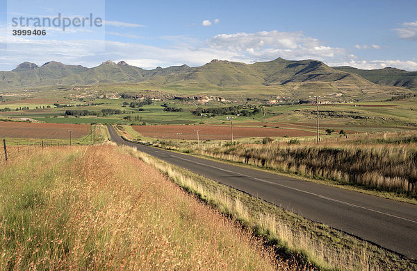 Straße außerhalb von Clarens  Maluti-Berge  Free State  Südafrika  Afrika