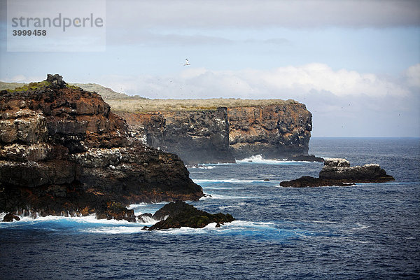 Steilküste  Felsenküste  Espanola Insel  Galapagos Archipel  Unesco Weltkulturerbe  Ecuador  Südamerika  Pazifik