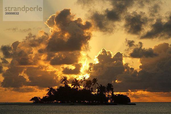 Silhouette von kleiner Malediveninsel bei aufgehender Sonne  Meer  Palmen  Rihiveli  Insel  Süd Male Atoll  Malediven  Archipel  Indischer Ozean  Asien