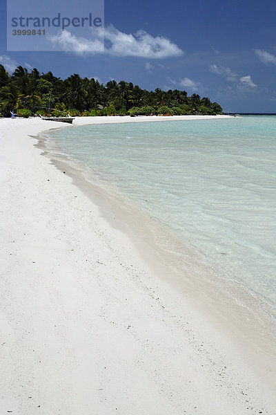 Weißer Strand mit Lagune  Palmen  blauer Himmel  Malediveninsel  Südmale  Atoll  Rihiveli  Malediven  Asien  Indischer Ozean