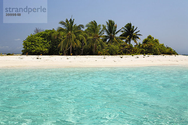 Unbewohnte Insel  Malediveninsel  Lagune  Palmen  Strand  Süd Male Atoll  Malediven  Archipel  Indischer Ozean  Asien