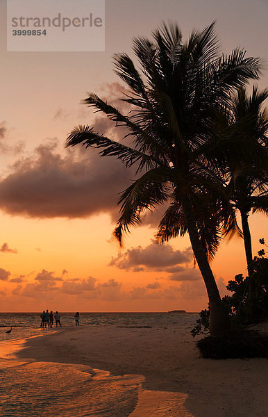 Menschen am Strand  Sonnenuntergang  Palmen  Malediveninsel  Süd Male Atoll  Malediven  Archipel  Asien  Indischer Ozean