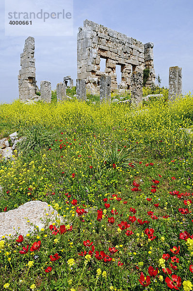 Ruinen aus byzantinischer Zeit  Tote Städte bei Aleppo  Syrien  Naher Osten  Asien