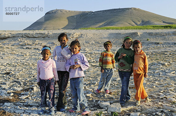 Kinder am Berg Jebel Arruda am Asad Stausee des Euphrat  Syrien  Asien