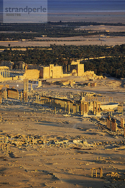 Blick von der Burg Qala'at Ibn Ma'n auf die Ruinen der Ausgrabungsstätte Palmyra  Tadmur  Syrien  Asien