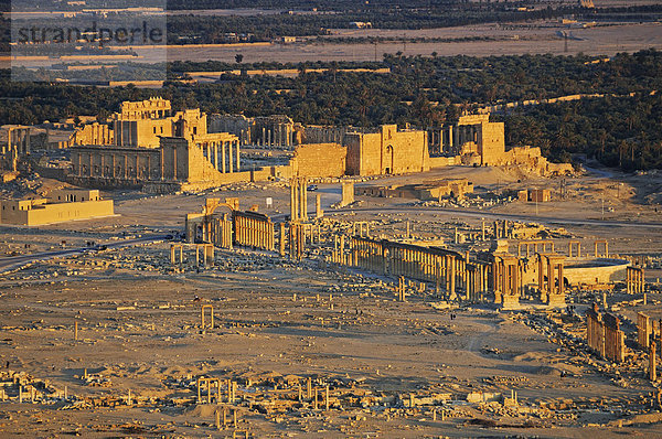 Blick von der Burg Qala'at Ibn Ma'n auf die Ruinen der Ausgrabungsstätte Palmyra  Tadmur  Syrien  Asien