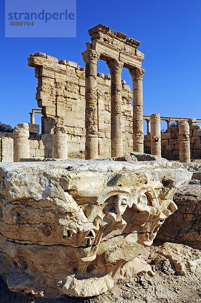 Ruinen der Ausgrabungsstätte Palmyra  Tadmur  Syrien  Asien