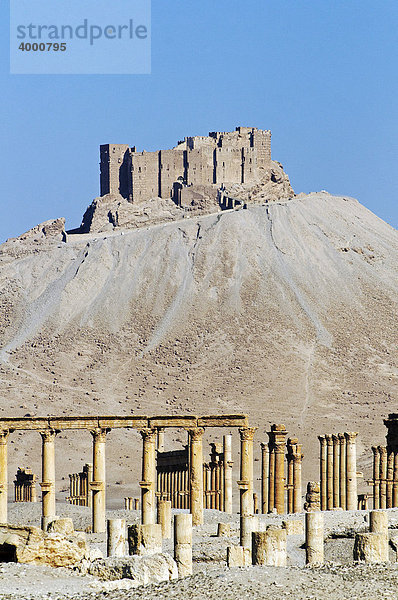 Ruinen der Ausgrabungsstätte Palmyra  hinten Burg Qala'at Ibn Ma'n  Tadmur  Syrien  Asien