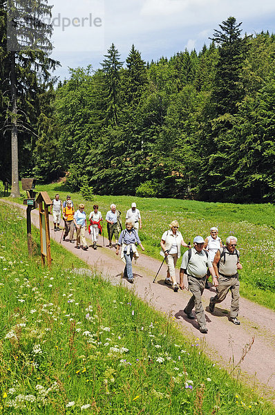 Wanderer im Oberes Vessertal  Biosphärenreservat Vessertal-Thüringer Wald  Thüringen  Deutschland  Europa