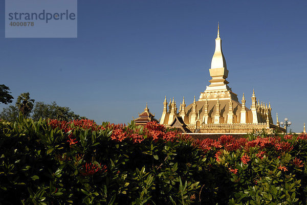 Der goldene erhabende Stupa  That Luang  Vientiane  Laos