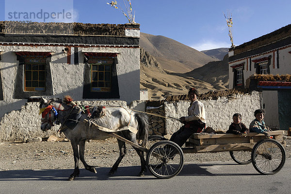 Tibetischer Nomade mit Kindern auf Pferdekutschwagen mit geschmücktem Pferd  Tingri  Tibet  China  Asien