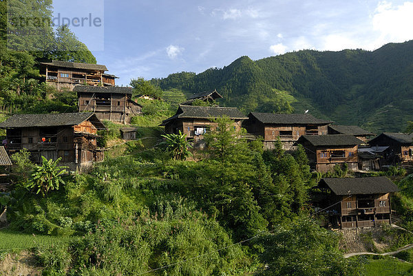 Xijiang  größtes Dorf der Miao-Minderheit in China mit traditionellen Miao-Holzhäusern  Xijiang  Guizhou  Südchina  China  Asien