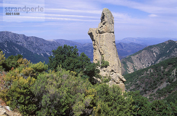 Felsformation  Supramonte und Gennergentu Gebirge bei Dorgali  Sardinien  Italien  Europa