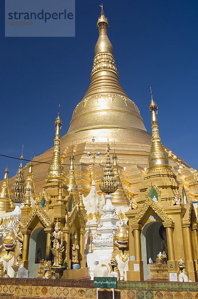 Goldener Stupa  Shwedagon Pagode  Rangun  Yangon  Burma  Birma  Myanmar  Asien
