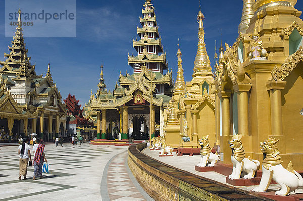 Goldene Chedis  Shwedagon Pagode  Rangun  Yangon  Burma  Birma  Myanmar  Asien