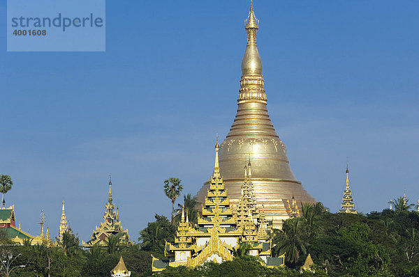 Goldener Stupa  Shwedagon Pagode  Rangun  Yangon  Burma  Birma  Myanmar  Asien