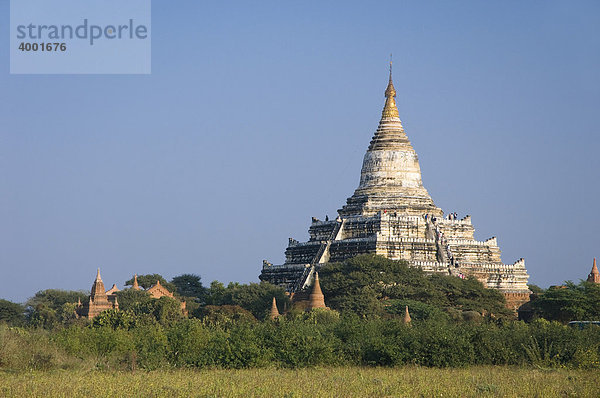 Shwesandaw Pagode  Tempel  Old Bagan  Pagan  Burma  Birma  Myanmar  Asien