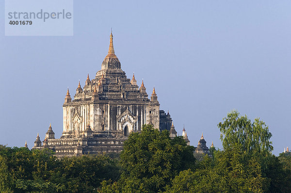 Pagode  Tempel  Old Bagan  Pagan  Burma  Birma  Myanmar  Asien