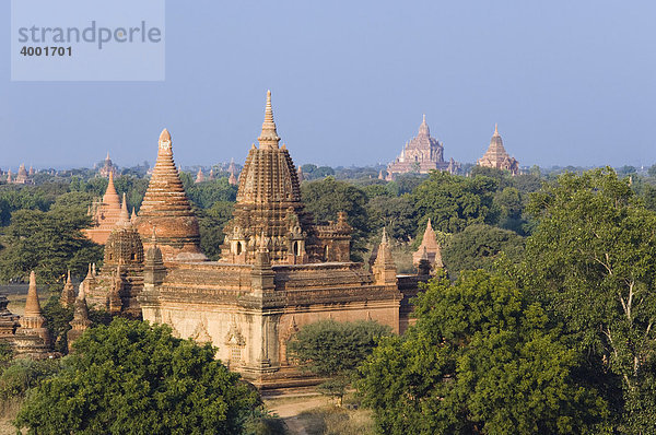 Pagodenfeld von Old Bagan  Pagan  Burma  Birma  Myanmar  Asien