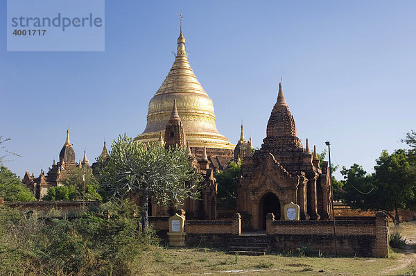 Goldener Zedi  Dhammayazika Zedi Pagode  Bagan  Pagan  Burma  Birma  Myanmar  Asien