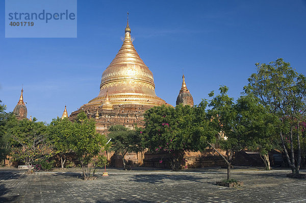 Goldener Zedi  Dhammayazika Zedi Pagode  Bagan  Pagan  Burma  Birma  Myanmar  Asien