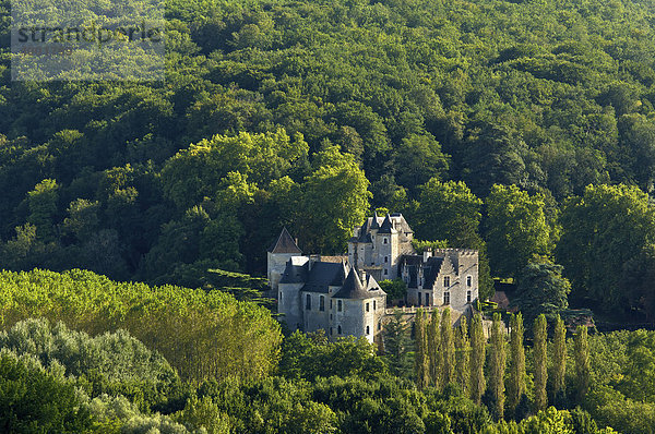 Schloss bei Beynac und Cazenac  Dordogne  Frankreich