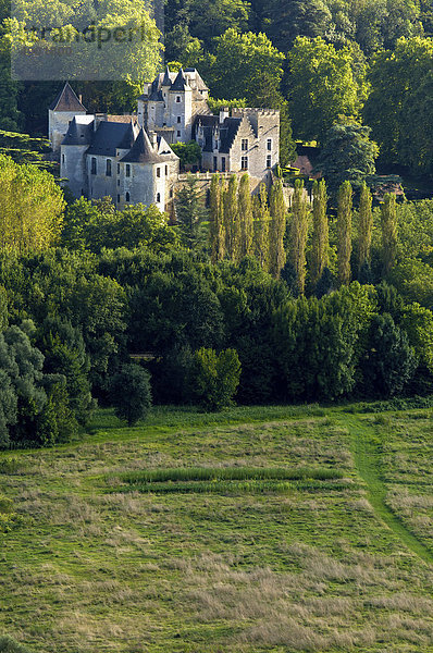 Schloss bei Beynac und Cazenac  Dordogne  Frankreich