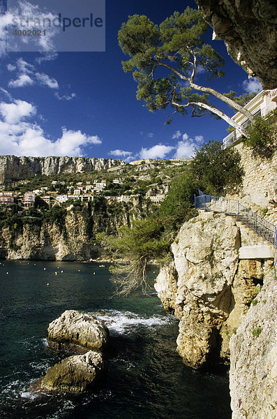 Cap d'Ail Klippe  Cote d'Azur  Frankreich  Europa