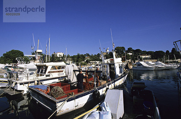 Fischer im Hafen von Juan-les-Pins  Frankreich  Europa