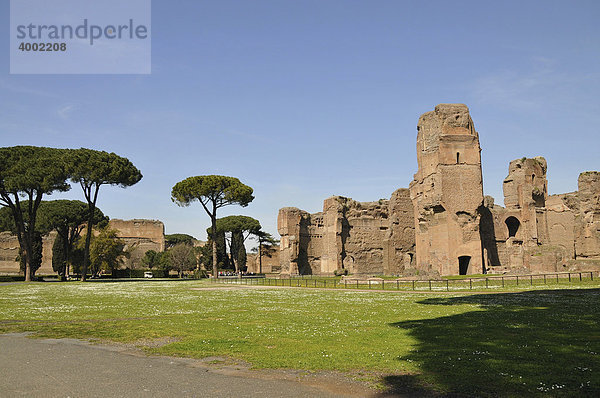 Terme di Caracalla  Altstadt  Rom  Italien  Europa