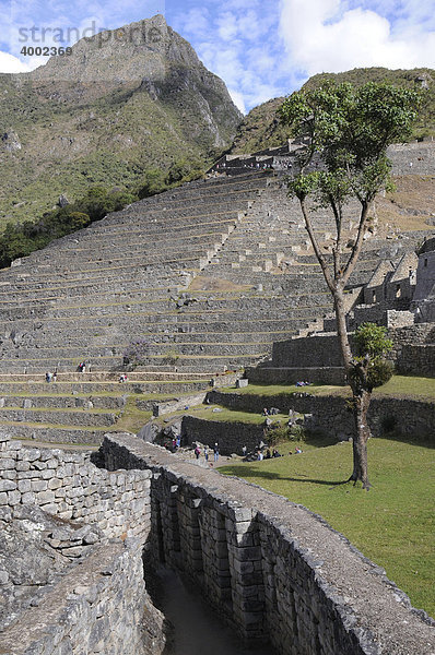 Zona agricola Terrassen  Inkasiedlung  Quechuasiedlung  Machu Picchu  Peru  Südamerika  Lateinamerika
