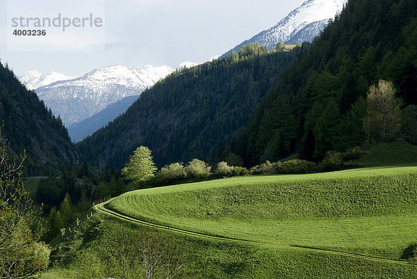 Landschaft bei Matrei  Osttirol  Österreich  Europa