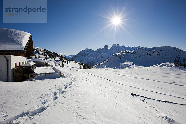 Tief verschneite Alm auf der Plätzwiese  Blick Richtung Monte Cristallo  Dolomiten  Südtirol  Italien  Europ