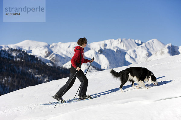 Schneeschuhwanderin mit Border Collie  Plätzwiese  Dolomiten  Südtirol  Italien  Europa