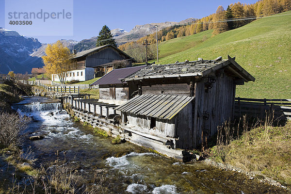 Alter Bauernhof im Herbst  Obernberg  Nordtirol  Österreich  Europa