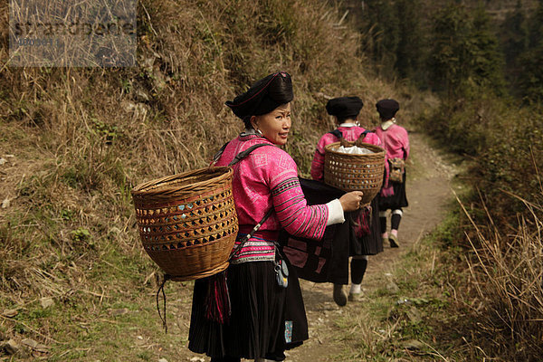 Frauen der Yao-Minderheit mit Körben  Tracht und ihren charakteristisch frisierten Haaren beim Dorf Ping An bei Longsheng  Guangxi  China  Asien