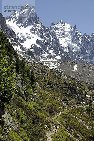 Wanderweg am Montblanc-Massiv bei Chamonix-Mont-Blanc  Frankreich  Europa