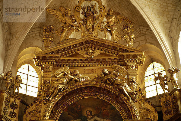 Reich dekorierter Innenraum der barocken Stiftskirche Notre-Dame-des-Anges in Ile sur la Sorgue  Provence  Frankreich  Europa